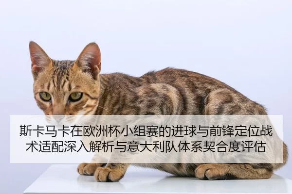 si-ka-ma-ka-zai-ou-zhou-bei-xiao-zu-sai-de-jin-qiu-yu-qian-feng-ding-wei-zhan-shu-shi-pei-shen-ru-jie-xi-yu-yi-da-li-2-199.jpg